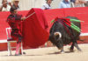 Morante inicia su histórica faena de Nimes sentado en una silla. (FOTO: Golfredo Rojas / burladero.com)