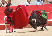 La silla de Morante en Nimes Morante inicia su histórica faena de Nimes sentado en una silla. (FOTO: Golfredo Rojas / burladero.com)