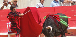 Morante inicia su histórica faena de Nimes sentado en una silla. (FOTO: Golfredo Rojas / burladero.com)