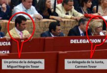 Otro primo de la delegada Carmen Tovar, gratis a los toros en el burladero de la Junta de Andalucía Un nuevo primo de la delegada Carmen Tovar, también vecino de Castilleja, en el burladero de la Junta y muy próximo a ella el pasado sábado de Feria. (FOTO: Javier Martínez)
