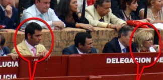 Un nuevo primo de la delegada Carmen Tovar, también vecino de Castilleja, en el burladero de la Junta y muy próximo a ella el pasado sábado de Feria. (FOTO: Javier Martínez)