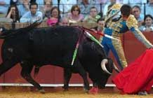 Manuel Fernández, decisión y ganas