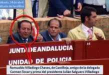 Otro amigo de Carmen Tovar y primo de Julián Salguero, gratis a los toros al burladero de la Junta Romualdo Villadiego, amigo de la delegada Carmen Tovar, vecino de Castilleja, que trabajó en Jardinería del Ayuntamiento coincidiendo con los años de alcaldesa de Carmen Tovar, y primo del nuevo presidente de la plaza, Julián Salguero. (FOTO: Javier Martínez)