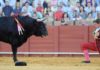 Conchi Ríos, en un desplante el pasado domingo. (FOTO: Sevilla Taurina)