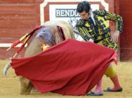 Morante, el pasado sábado en Sanlúcar. (FOTO: Sevilla Taurina)