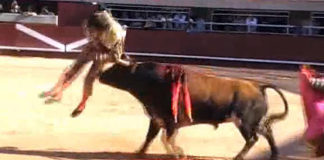 La brutal voltereta de Antonio Barrera el pasado domingo. (FOTO: burladero.com)