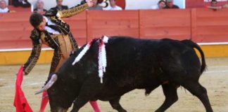 El diestro sevillano Daniel Luque.