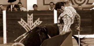 Monumento al natural esta tarde de Morante en Badajoz. (FOTO: Gallardo / badajoztaurina.com)