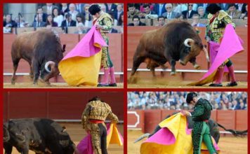 Cuatro majestuosas verónicas de Morante. (FOTOS: Matito)