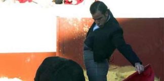 El diestro utrerano Alberto de la Peña. (FOTO: Matito)