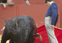 El sevillano Álvaro Ortega rompe con Luciano Núñez El sevillano Álvaro Ortega. (FOTO: Matito)