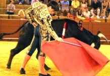 Un cuento sin final feliz El novillero alicantino Borja Álvarez. (FOTO: Álvaro Pastor)