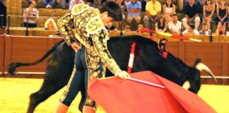 El novillero alicantino Borja Álvarez. (FOTO: Álvaro Pastor)