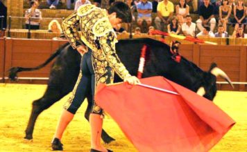 El novillero alicantino Borja Álvarez. (FOTO: Álvaro Pastor)