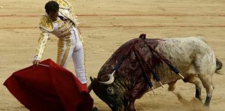 Salvador Cortés torea con la derecha a su primer toro esta tarde en Pamplona. (FOTO: Manolo Guillén / burladero.com)