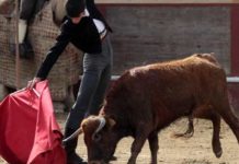 Daniel Soto y ‘el Nieto’, dos debutantes sevillanos El joven Daniel Soto, de la Escuela de La Algaba, esta tarde en la Maestranza.
