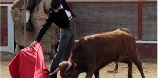 El joven Daniel Soto, de la Escuela de La Algaba, esta tarde en la Maestranza.