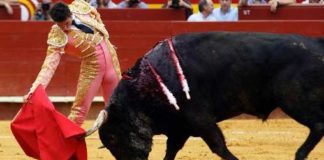 Un derechazo de Daniel Luque esta tarde en Valencia. (FOTO: burladero.com)