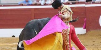 Morante esta tarde en Mont de Marsan. (FOTO: terrestaurines.com)