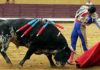 Morante, en un natural esta tarde en Burgos. (FOTO: Tauroburgos)