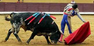 Morante, en un natural esta tarde en Burgos. (FOTO: Tauroburgos)