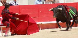 Morante, cita al toro sentado en Nimes.