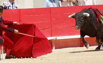 Morante, cita al toro sentado en Nimes.