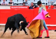 Paco Velázquez: «Entrar en la final de Sevilla me abriría muchas puertas» Paco Velázquez, en su actuación en Barcelona el año pasado.