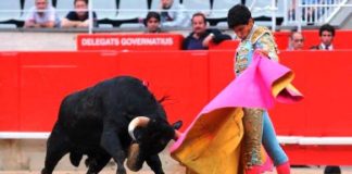 Paco Velázquez, en su actuación en Barcelona el año pasado.