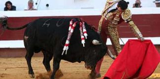 El Cid, en la corrida de esta tarde en Dax. (FOTO: burladero.com)