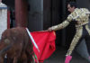 El Cid conduce al toro de Marca indultado hacia los toriles. (FOTO: Iván de Andrés / burladero.com)