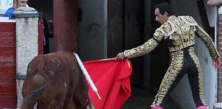 El Cid conduce al toro de Marca indultado hacia los toriles. (FOTO: Iván de Andrés / burladero.com)