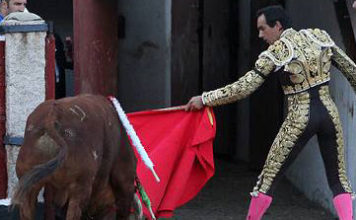El Cid conduce al toro de Marca indultado hacia los toriles. (FOTO: Iván de Andrés / burladero.com)