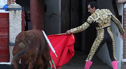 El Cid conduce al toro de Marca indultado hacia los toriles. (FOTO: Iván de Andrés / burladero.com)