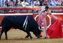 El Cid triunfa en Huelva aun sin cortar orejas Sentido muletazo de El Cid esta tarde en Huelva. (FOTO: Javier Martínez)