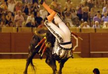 Luis Mariscal tiende a estabilizarse tras una nueva transfusión de sangre El torero quedó durante varios segundos con todo el pitón dentro del muslo. (FOTO: Sevilla Taurina)