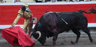 Daniel Luque en un derechazo esta tarde en Bilbao. (FOTO: burladero.com)