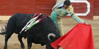 El Cid, esta tarde en El Escorial. (FOTO: Cabrera/burladero.com)