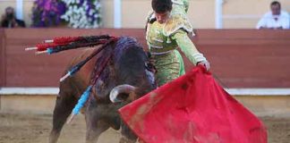 Daniel Luque, torando hoy en Bayona. (FOTO: burladero.com)