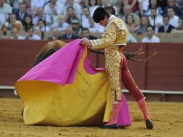 Daniel Luque con el capote esta tarde en la Maestranza. (FOTO: Sevilla Taurina)