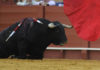 La Fiesta se hunde en la Maestranza. (FOTO: Sevilla Taurina)