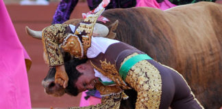 Espeluznante cornada de Espaliú: el novillo le atraviesa la axila. (FOTO: Sevilla Taurina)