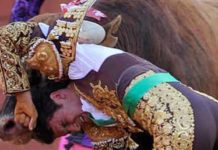 El novillero sevillano Antonio Espaliú recibe el alta Momento de la cornada en la axila izquierda a Espaliú. (FOTO: Sevilla Taurina)
