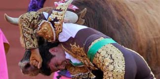 Momento de la cornada en la axila izquierda a Espaliú. (FOTO: Sevilla Taurina)