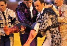 Parte médico de la gravísima cornada del banderillero Jesús Márquez Los banderilleros taponan la cornada y trasladan a Jesús Márquez con celeridad a la enfermería. (FOTO: Sevilla Taurina)