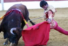 Casi todos los sevillanos, triunfadores Excelente trazo del muletazo de Juan Ortega hoy en Baeza, un novillero sevillano inscrito en la Escuela de Córdoba. (FOTO: Javier Martínez)