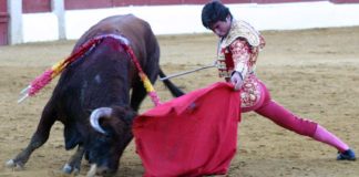 Excelente trazo del muletazo de Juan Ortega hoy en Baeza, un novillero sevillano inscrito en la Escuela de Córdoba. (FOTO: Javier Martínez)