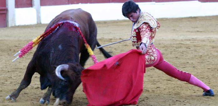 Excelente trazo del muletazo de Juan Ortega hoy en Baeza, un novillero sevillano inscrito en la Escuela de Córdoba. (FOTO: Javier Martínez)