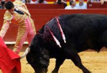 Luque, Ventura y Esaú Fernández, triunfadores de la jornada