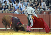 El primero de la tarde. (FOTO: Sevilla Taurina)